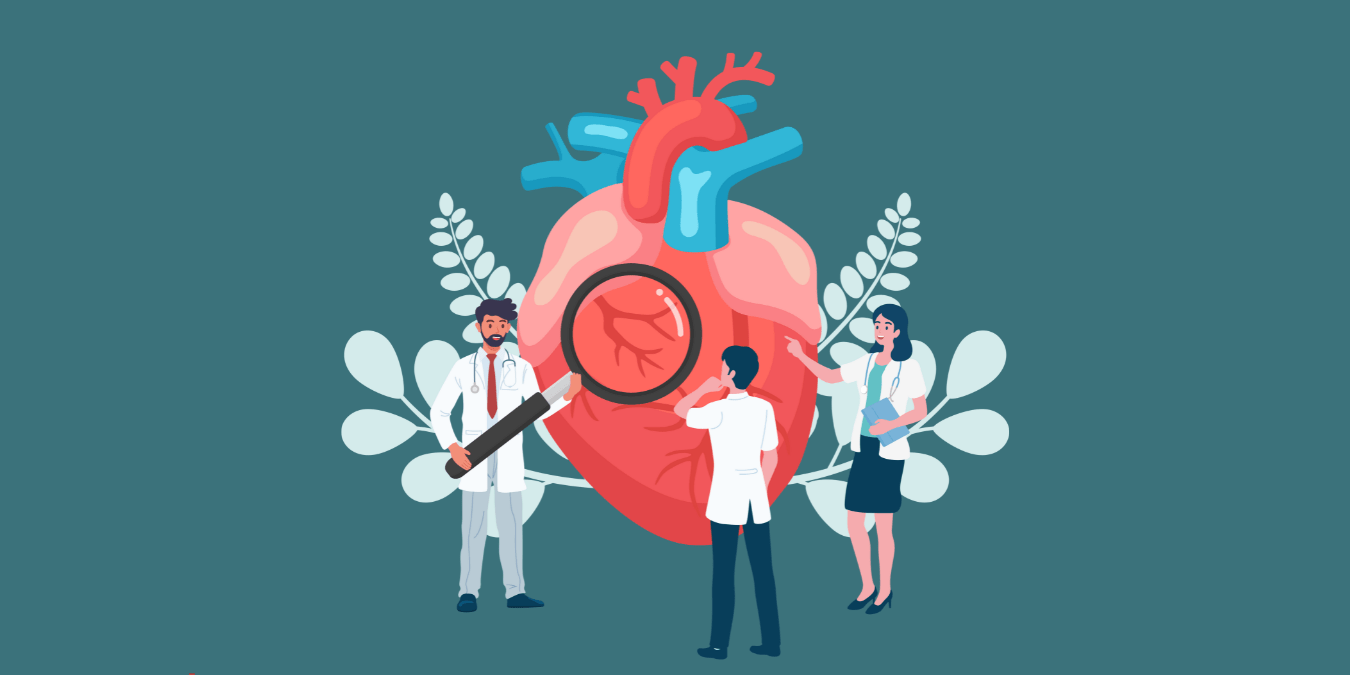 Unlocking the Hidden Truth About Cholesterol: What Your Doctor Isn’t Telling You!