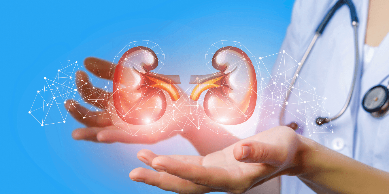 What Your Diet Is Missing: Surprising Kidney Stone Triggers in 2025