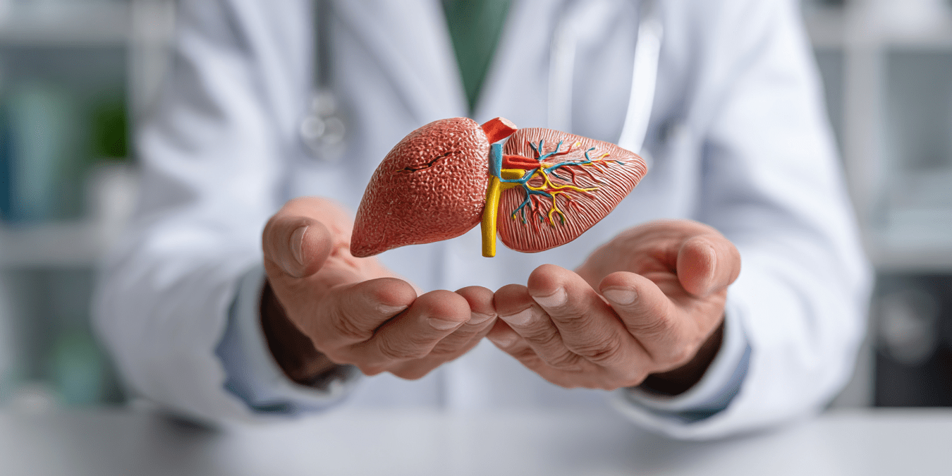 How Red Palms on Your Hands Signal Early Liver Damage: U.S. Doctors’ Top Warning Signs