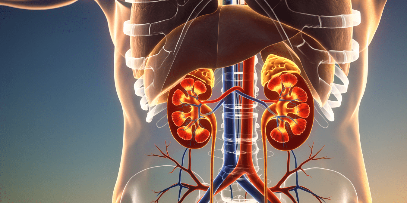 Doctors Are Now Recommending This Simple At-Home Test That Could Catch Kidney Disease Years Before It Becomes Dangerous 2 Doctors Are Now Recommending This Simple At-Home Test That Could Catch Kidney Disease Years Before It Becomes Dangerous