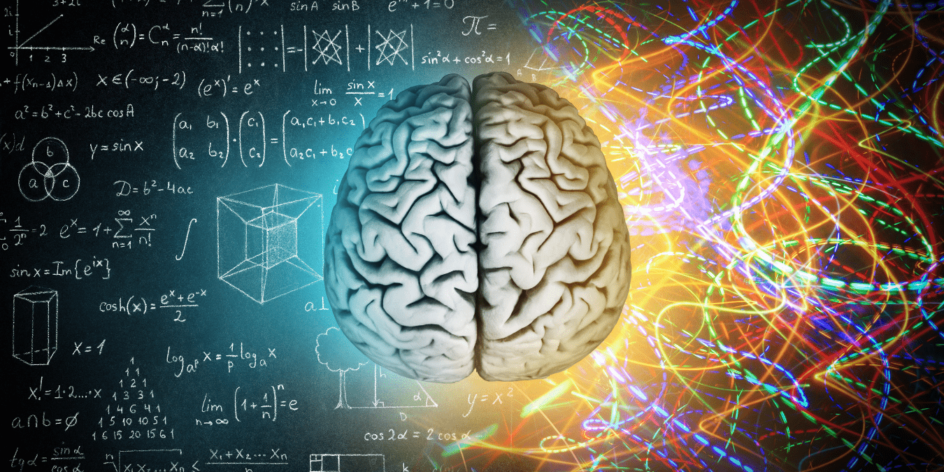 UCSF Scientists Just Identified the Single Protein Quietly Destroying Your Memory — And They Know How to Shut It Off