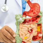 Your Gut Health Obsession Just Got Scientific Backup — Here's What Doctors Actually Say Works in 2026 4 Your Gut Health Obsession Just Got Scientific Backup — Here's What Doctors Actually Say Works in 2026