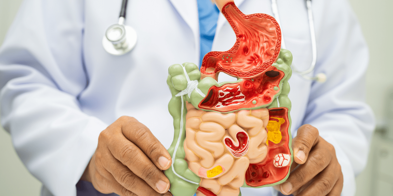 Your Gut Health Obsession Just Got Scientific Backup — Here’s What Doctors Actually Say Works in 2026
